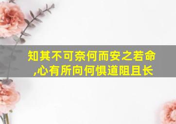 知其不可奈何而安之若命 ,心有所向何惧道阻且长